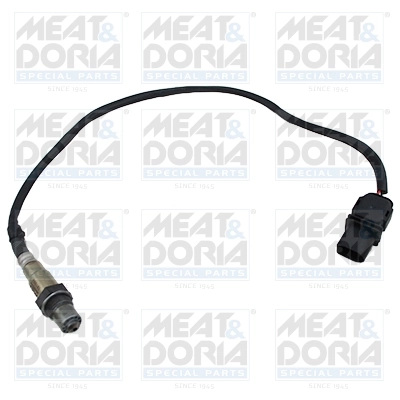 Oxygen Sensor